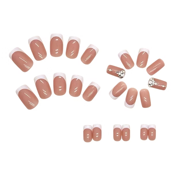 🤎 Mocha Frenchie 🤍